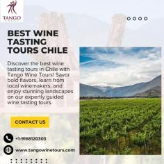 Best wine tasting tours Chile