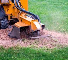 Are you looking for the Best Stump Grinding in Seville Grove? Then contact D.E.N Tree Services. They are in Seville Grove and provide professional arborist services to maintain and enhance the health and safety of your trees and landscape. Specializing in tree removal, pruning, and stump grinding. Visit - https://maps.app.goo.gl/uhDMKS8zHWnLAnrX8