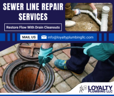 Clear Out Sewer Line Clogs And Blockages

We know that a functioning sewer line is critical to maintaining a safe and healthy home or business. That’s why our team of experienced plumbers uses of methods, including jetting, snaking, and augering, to clearing blocks in your sewer line. Send us an email at info@loyaltyplumbingllc.com for more details.
