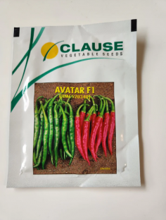 Beejkart offers premium chili seeds ideal for growing vibrant, flavorful chillies at home or on the farm. Selected for high yield and disease resistance, these seeds produce chillies with rich heat and color. Enjoy easy cultivation and a bountiful harvest with Beejkart’s trusted chilli seeds. Buy - https://www.beejkart.com/collections/chilli-seeds
