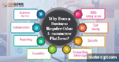 Why does a business require the Odoo E-commerce Platform