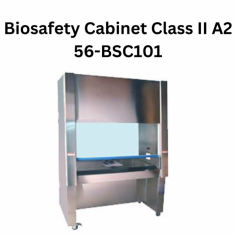 Labexpo Class II Type A2 Biosafety Cabinet ensures top-level safety with 70% HEPA-filtered air recirculation and 30% exhaust. It features a tilted glass door, vertical negative pressure, and a stainless steel workspace.