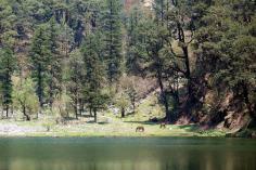 For nature lovers, the Dodital Lake trek is more than just an adventure; it’s an immersion in the untouched beauty of the Himalayas. The crystal-clear lake, surrounded by towering forests and distant peaks, offers a retreat from the ordinary and a journey into the extraordinary. Whether you’re looking for spiritual solace, a close encounter with nature, or a thrilling adventure, Dodital Lake awaits with open arms. Pack your bags, prepare your spirit for exploration, and set off to discover the beauty of this hidden Himalayan gem.