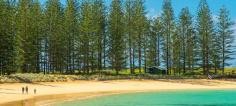 Holiday Packages to Norfolk Island: An All-Inclusive Adventure

Embark on an unforgettable journey with our holiday packages to Norfolk Island! Spacifica Travel offers all-inclusive deals that cater to every traveller, combining guided tours, unique activities, and scenic spots. With us, you’ll experience the rich culture, stunning nature, and friendly locals without the stress of planning. Let us handle the details so you can fully enjoy the island’s charm and beauty, making it a trip you’ll cherish forever

https://spacificatravel.com/destination/norfolk-island

#norfolkislandholiday #norfolkislandholidays #norfolkislandtravel #norfolkislandtours #norfolkislandholidaypackages #spacificatravel #norfolkislandpackages #holidaypackagestonorfolkisland #norfolkislandaccommodationpackages