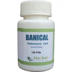 Banical is a natural supplement designed to support the management of Infected Sebaceous Cyst Treatment. Using a blend of herbal ingredients with antibacterial, anti-inflammatory, and detoxifying properties, Banical aims to relieve the discomfort associated with infected cysts, promote skin healing, and support the body’s natural defenses against infections.
