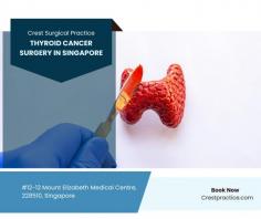 For advanced thyroid cancer surgery in Singapore, Crest Surgical Practice provides expert care and precision. Our experienced surgeons use cutting-edge techniques to ensure the best possible outcomes for patients. With a commitment to personalized treatment, we focus on delivering comprehensive support throughout your journey to recovery. To learn more or to schedule a consultation, visit our website or call us at 6569089800. Trust Crest Surgical Practice for top-tier surgical expertise tailored to your needs.