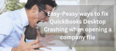 Discover why QuickBooks keeps crashing and how to fix it. Learn troubleshooting steps, causes, and prevention tips to keep your QuickBooks running smoothly.