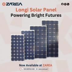 Longi Solar Panel 