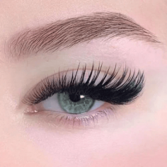 Lash Extension Course

Learn the art of lash extensions with Sugar Lash Studio's comprehensive course. Gain expert techniques, hands-on training, and certification to kickstart your lash career. Perfect for beginners and professionals seeking to enhance their skills in the beauty industry.
Visit us on: https://sugarlashstudio.com/collections/courses-1/products/online-eyelash-extensions-courses

