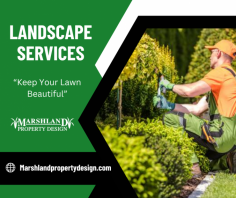 Elevate Your Yard with Creativity

Bring your vision to life with our personalized landscaping solutions. We create lush gardens, serene patios, and vibrant flower beds, crafting stunning outdoor environments tailored to your unique style. Send us an email at marshlandenterprise@gmail.com for more details.
