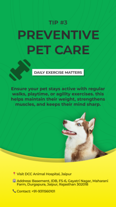 For the best preventive pet care in Jaipur, visit DCC Animal Hospital, a renowned Japanese veterinary facility. Our experienced vets provide top-quality care to ensure your furry friend's health and well-being.

If you're looking for guidance on preventive pet care, book an appointment today or explore our services at https://dccpets.in/pet-clinic-in-jaipur. Let us help you give your pet the care they deserve!