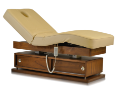 Mudit Premium Electric Massage Bed