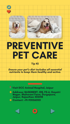 For the best preventive pet care in Jaipur, visit DCC Animal Hospital, a renowned Japanese veterinary facility. Our experienced vets provide top-quality care to ensure your furry friend's health and well-being.

If you're looking for guidance on preventive pet care, book an appointment today or explore our services at https://dccpets.in/pet-clinic-in-jaipur. Let us help you give your pet the care they deserve!