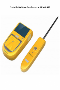 Labtron Portable Multiple Gas Detector features a compact, handheld design, detecting H₂S, CO, O₂, and CH₄ simultaneously. Uses diffusion sampling with imported electrochemical and catalytic sensors. Operates efficiently from -20°C to 50°C for reliable gas monitoring.