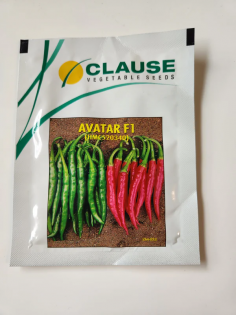 Beejkart offers premium chilli seeds that ensure high germination and vigorous growth. Our carefully selected seeds are known for their excellent yield, spice level, and disease resistance. Ideal for home gardens or farms, Beejkart’s chilli seeds help you cultivate fresh, flavorful chillies for a bountiful harvest every season. Buy - https://www.beejkart.com/collections/chilli-seeds
Beejkart offers premium chilli seeds that ensure high germination and vigorous growth. Our carefully selected seeds are known for their excellent yield, spice level, and disease resistance. Ideal for home gardens or farms, Beejkart’s chilli seeds help you cultivate fresh, flavorful chillies for a bountiful harvest every season. Buy - https://www.beejkart.com/collections/chilli-seeds
