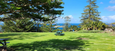 Norfolk Island Tours: Discover Beyond the Ordinary

Embark on curated Norfolk Island tours designed to showcase the island's unique charm. Experience cultural sites, stunning coastal vistas, and lush trails with our expert guides. Spacifica Travel offers exclusive tours to ensure you uncover every treasure Norfolk Island has to offer. Don’t miss out on the chance to create lasting memories in this serene destination.

https://spacificatravel.com/destination/norfolk-island

#norfolkislandholiday #norfolkislandholidays #norfolkislandtravel #norfolkislandtours #norfolkislandholidaypackages #spacificatravel #norfolkislandpackages #holidaypackagestonorfolkisland #norfolkislandaccommodationpackages