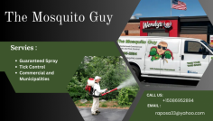 At The  Mosquito Guy, we specialize in keeping your outdoor spaces safe and enjoyable with effective mosquito and tick control services across Massachusetts and Rhode Island. Whether you’re hosting a special event in East Falmouth or need year-round mosquito control in Chatham, MA, our services are designed to protect you and your family from annoying pests. We proudly serve areas including Mansfield, Swansea, and Taunton, MA, offering organic 
mosquito control, safe tick sprays, and comprehensive lawn treatments tailored to your needs.
