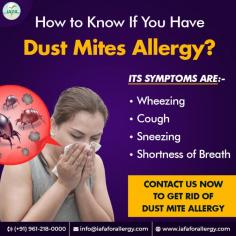 Symptoms of Dust Mites Allergy