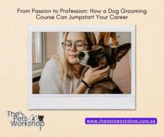 If you’ve always had a passion for pets, particularly dogs, why not turn that love into a fulfilling career? With the growing demand for pet services, a Professional Dog Grooming Course can be the key to transforming your passion into a profession. Whether you’re looking to start your own grooming business or work in a well-established salon, learning pet grooming in Singapore can offer you the tools and knowledge to thrive in the industry.

A professional dog grooming course provides hands-on experience, enabling you to master the essential skills that every groomer needs. You’ll learn how to handle different breeds, understand their grooming needs, and develop techniques that ensure the dogs are groomed safely and stylishly. From mastering the basics like bathing and brushing to more advanced tasks like trimming, styling, and nail care, the right grooming course will cover it all.

Beyond technical grooming skills, you’ll also gain knowledge about dog behavior, which is crucial for a career in this field. Grooming can be stressful for pets, and understanding how to calm and comfort them during the process is key to becoming a successful groomer.

Courses will also teach you essential business skills, especially if your goal is to start your own pet grooming business. This includes customer service, client management, and marketing strategies to help build your brand.

The pet industry is booming, with an increasing number of pet owners looking for highquality grooming services. By taking a professional dog grooming course, you’ll not only learn pet grooming Singapore but also gain the expertise needed to succeed in this growing market. Your passion for dogs can easily be turned into a lucrative and rewarding career, allowing you to work with animals every day while building your professional future.

Website : https://www.thepetsworkshop.com.sg/