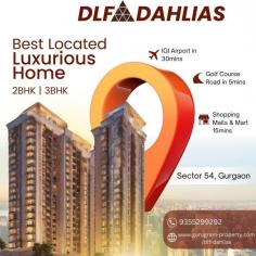 DLF properties in Gurgaon are known for their steady appreciation in value, and DLF The Dahlia is no exception. The strategic location on Golf Course Road, combined with high demand for luxury housing in Gurgaon, makes this property an attractive investment for both end-users and investors.
Visit us - https://gurugram-property.com/dlf-dahlias/
