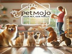 Explore PetMojo for expert pet care advice, product reviews, and practical tips. Your trusted companion for ensuring a healthier, happier life for your pets.


https://www.petmojo.care/