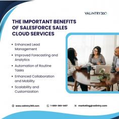 VALiNTRY360 specializes in delivering tailored Salesforce Sales Cloud Services to help businesses revolutionize their sales processes. Salesforce Sales Cloud is an innovative platform designed to streamline customer relationship management, boost sales productivity, and improve revenue forecasting. With VALiNTRY360 as your trusted partner, you can unlock the full potential of this powerful tool to accelerate growth and enhance customer satisfaction.

Our expert team at VALiNTRY360 customizes Salesforce Sales Cloud solutions to meet your unique business needs. From lead generation and opportunity tracking to advanced analytics and automation, we ensure every feature is optimized for your success. By integrating Sales Cloud with your existing systems, we create seamless workflows that improve communication and collaboration across your sales team.

Whether you're a small business aiming to scale or a large enterprise looking to refine your sales strategies, VALiNTRY360 offers end-to-end implementation, training, and ongoing support. Trust our expertise to harness the capabilities of Salesforce Sales Cloud Services and drive measurable results for your organization.

Experience a smarter, more efficient sales journey with VALiNTRY360 and Salesforce Sales Cloud—empowering you to close deals faster and achieve sustainable growth.

For more info : https://valintry360.com/solutions/sales-performance-and-results
Contact us: 1-800-360-1407
Email : marketing@valintry.com