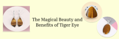 Tiger's Eye: Meaning, Astrological Benefits, Healing Powers & Zodiac Connections

Investigate the enthralling universe of Tiger's Eye  Find out about its strong significance, astrological benefits, and astounding recuperating properties. Discover how this mesmerizing stone aligns with specific zodiac signs, enhances internal strength, and fosters balance in your life. Ideal for gemstone enthusiasts and spiritual seekers the same!