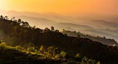 The serene beauty, mild Binsar temperature, and abundant wildlife make Binsar hill station an unforgettable escape. Whether you’re exploring the sanctuary, trekking to Zero Point, or simply relaxing in the quietude of nature, Binsar hill station offers a unique experience that combines tranquility with adventure. For anyone looking to unwind amid the grandeur of the Himalayas, this pristine hill station is truly a gem waiting to be discovered.