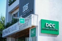 DCC Animal Hospital in Jaipur, a leading Japanese veterinary hospital, offers the best pet care from our top vets for your furry friends' health and well-being. Vist us today!
https://dccpets.in/pet-clinic-in-jaipur
