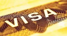 uae visa price:- Now apply for transit and tourist visa to UAE at ease with Musafir. Get UAE visa in just 5 days at competitive price! Click here to know more.
