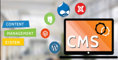 CMS Website Design Singapore, We have created more than 300 high-end CMSWordPress websites, right from scratch, which includes multiple award-winning websites. CMS Website Design Cutting-edge website solution for startup, bootstrap company and solopreneur. CMS website design As a crisp new business fresh out of the oven, maximising your startup dollars is critical. Get all the hygiene factors of a business up and running quickly with us by your side. We provide high quality web startup package. Launch your website, social media presence and start converting customers!