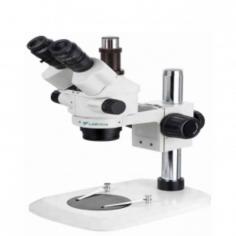 Stereo Microscope LSM-C10

Labtron Stereo Microscope features a trinocular viewing head, pole stand design and a long working distance. Its parallel zoom optical system delivers sharp, stereo erect images with a wide field of view. Designed for user-friendly operation, it requires no light source and is ideal for detailed observation in various applications.