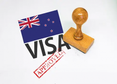 New Zealand visa :
"Want to visit New Zealand? Check out how to get your visa, the requirements, and how to apply simply."


