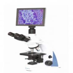 Digital Microscope LDM-D10

Labtron Digital Microscope features an infinite optical system and a 30° inclined trinocular viewing head for comfortable, strain-free viewing. It includes a 9.7-inch TFT touch screen display for high-resolution specimen imaging and coaxial coarse & fine focusing adjustments. Ideal for detailed quantitative analysis at the microscopic level with user-friendly operation.