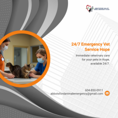 Reliable 24/7 Emergency Vet Service in Hope

Rely on Abbotsford Vet Emergency for reliable 24/7 emergency vet service in Hope. Our dedicated team of veterinarians is available around the clock to provide immediate and compassionate care for your pets during critical situations. With state-of-the-art facilities and a commitment to exceptional veterinary care, we prioritize your pet's well-being. Trust our experienced professionals to be there for your furry companions when they need us the most.