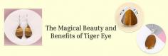 Unveiling Tiger Eye Meaning, Astrological Benefits, Healing Properties, & Zodiac Sign

The microcrystalline quartz family includes the glorious Tiger Eye, which first gained recognition in the 1800s as a symbol of freedom and hope. This intriguing gemstone is primarily sourced from regions such as India, Burma, Brazil, South Africa, the USA, Australia, Russia, Madagascar, and Mexico. Its name is inspired by its striking resemblance to the eyes of a tiger. For centuries, Tiger Eye Benefits has been cherished as a semi-precious stone known for its unique metaphysical properties. Its tremendous optical effect showcases a distinctive range of brownish to golden hues, mirroring the eyes of a tiger.