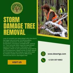 Lots of concerts are associated with the storm damage tree removal, including safety, property protection, further damage prevention, insurance consideration, and so on. Tree removal often requires specialized equipment like cranes, chainsaws, and chippers, which is not commonly acquired by the homeowners. Read further to learn about the importance, techniques, and tools used by Desert Garden Services to effectively remove the storm-damaged tree.
