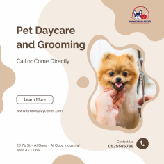 Pet day care and grooming in Dubai offer a fantastic way to care for your pets while you're at work or busy. Day care centers provide a fun environment where pets can play, exercise, and socialize with other animals. Grooming services ensure your pets stay clean and healthy, with baths, haircuts, and nail trims available. This helps prevent skin issues and keeps your pet looking great. Many facilities combine day care and grooming, making it convenient for pet owners. Choose a trusted center for your furry friends to enjoy a happy and healthy experience!