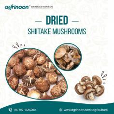 Packed with antioxidants, immune-boosting properties, and umami flavor, they’re the perfect product for health-conscious consumers. With a long shelf life and high demand, it’s a smart choice for steady profits.


See more: https://www.agrinoon.com/agriculture/product/shiitake-mushroom-spawn-mushroom-logs/