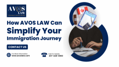 Navigating immigration can be complex, but AVOS LAW simplifies the journey with expert legal advice, personalized strategies, and dedicated support. Trust us to handle your immigration matters efficiently, ensuring a smooth and stress-free process every step of the way
For more details reach our website - https://avoslaw.com/
Mail us at - info@avoslaw.com
Or contact via - 437-448-0060