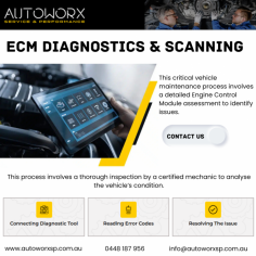 This critical vehicle maintenance process involves a detailed Engine Control Module assessment to identify issues.
