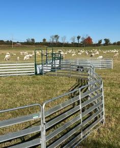 Looking for durable and reliable gates for goats? Look no further! Lakeland Farm & Ranch offers the best solutions for your goat enclosure needs. Our gates are designed to withstand the toughest conditions while keeping your goats safe and secure. Whether you're building a new pen or upgrading an existing one, we have the perfect options to meet your requirements. Don’t compromise on quality—choose Lakeland Farm & Ranch for all your goat care essentials. Visit us now to explore our wide selection and find the best gates for goats to suit your farm.