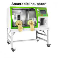 Ezilab Anaerobic Incubator offers a precise temperature range of 3 to 60°C with stability below ± 0.3°C. It features a stainless steel chamber, a de-oxidization catalyst, a UV sterilizer, microcomputer control, impact-resistant glass, and ergonomic design for reliable performance.