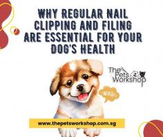 Incorporating regular nail clipping and filing into your dog’s grooming routine — whether at home or through a dog spa service — ensures their paws remain healthy, their posture stays aligned, and they enjoy a happier, more comfortable life.

Try these out: https://www.thepetsworkshop.com.sg/