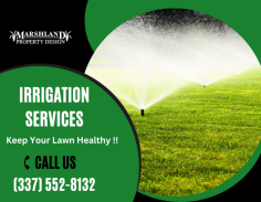 Reliable Irrigation System for Landscapes

Create a sustainable watering solution with our advanced irrigation system. We deliver the right amount of water directly to the plant roots, boosting growth while conserving water. Send us an email at marshlandenterprise@gmail.com for more details.
