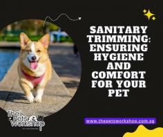 Why Every Pet Owner Should Prioritize Sanitary Trimming? — The Pets Workshop
Pop Over here: https://www.thepetsworkshop.com.sg/