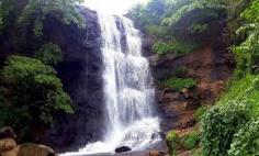 Top Chikkamagalur Destinations You Must Explore

Nestled amidst the serene Western Ghats, Chikkamagalur is a paradise for nature lovers and adventure seekers. From the lush greenery of Mullayanagiri, Karnataka’s highest peak, to the tranquil Baba Budangiri hills steeped in history, the region offers breathtaking landscapes. Explore the cascading Hebbe Falls, the coffee plantations, and Bhadra Wildlife Sanctuary teeming with wildlife. Don’t miss the spiritual aura of Sharadamba Temple. Chikkamagalur promises unforgettable experiences, making it a must-visit destination for all travelers.

For More Info:- https://chikkamagalur.co.in/tourist-spots-chikmagalur/