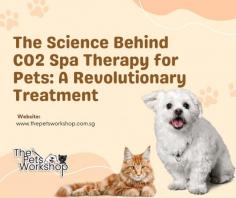 Incorporating CO2 spa therapy in your pet spa in Singapore enhances your pet’s wellness routine not only enhances their physical health but also ensures they enjoy the ultimate pampering experience.

Know More : https://www.thepetsworkshop.com.sg/