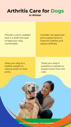 Learn how to ease your dog's arthritis pain in winter with exercise, warmth, and proper care. Discover helpful tips to keep your pet comfortable this season. For more details visit https://dccpets.in/pet-care-blog/managing-your-dog-s-arthritis-during-winter