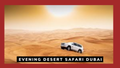 Evening Desert Safari Dubai Price | Affordable Luxury
Enjoy the magic of an evening desert safari with Kings Deserts Safari Dubai. Choose from our tailored packages, combining thrill and culture at the best evening desert safari Dubai price. Your perfect adventure awaits.